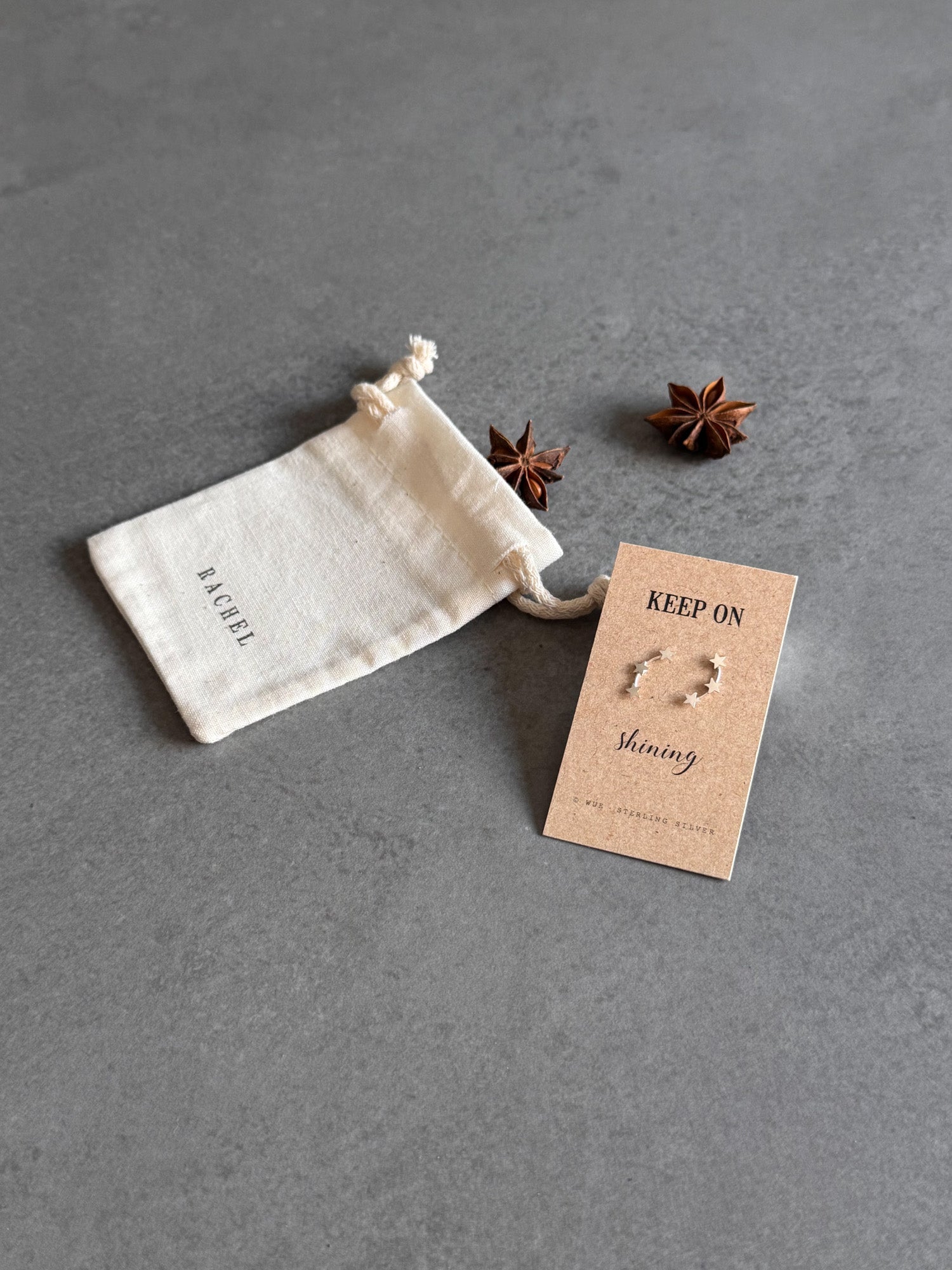 Keep Shining Star Earrings