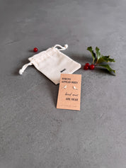 Classic Robins Appear Earrings