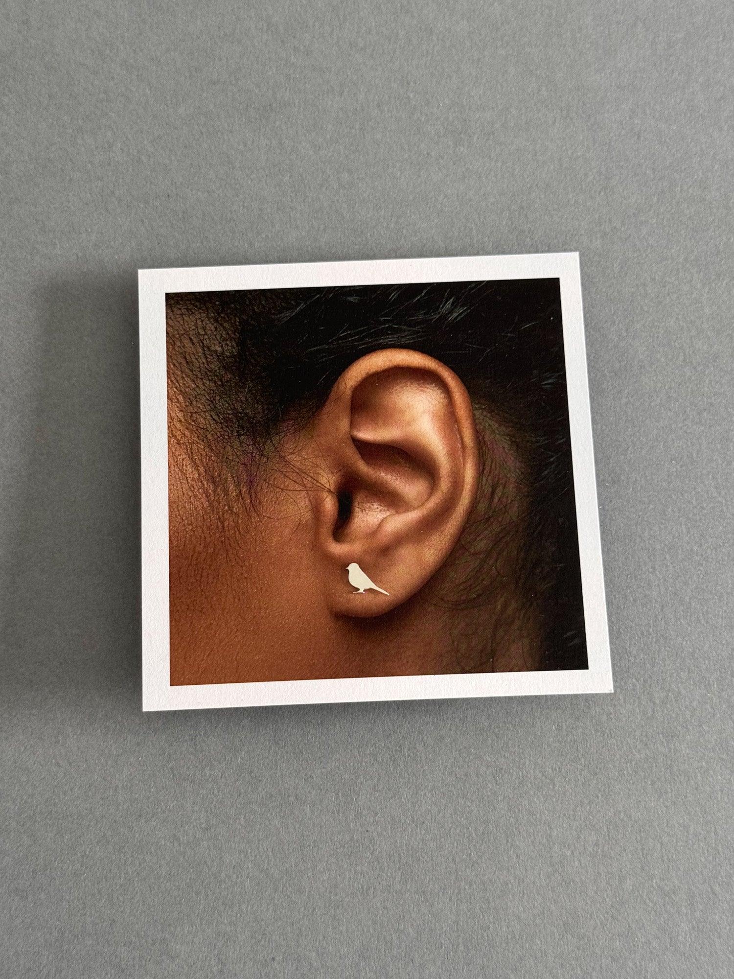 Classic Robins Appear Earrings