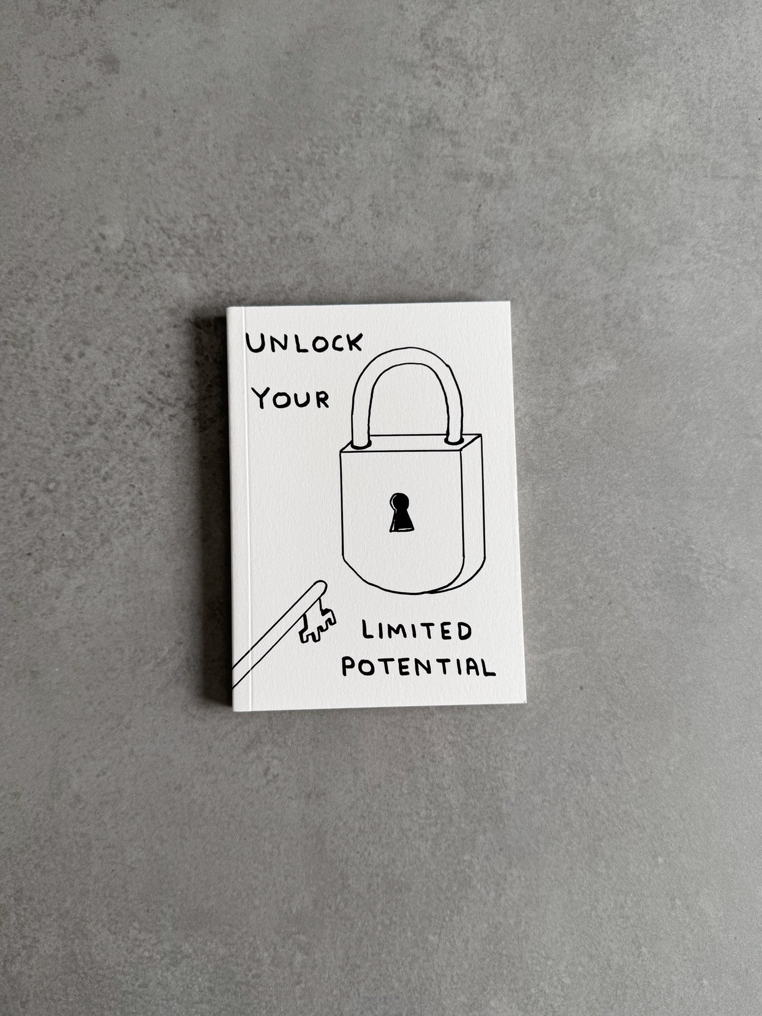 Limited Potential Notebook