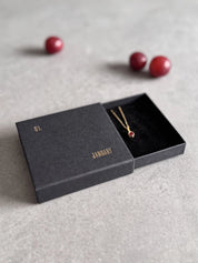 January Birthstone Necklace