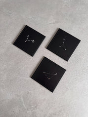 Zodiac Leather Coaster
